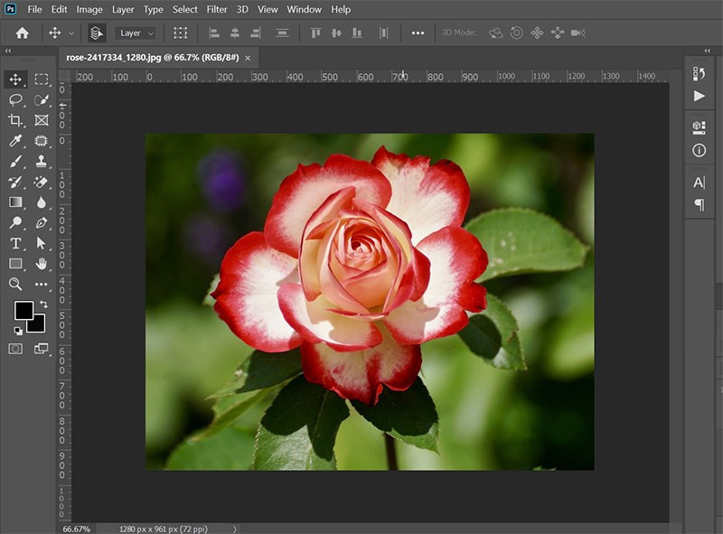 Hướng Dẫn Chuyển Ảnh Sang Vector Trong Photoshop Cực Kỳ Chi Tiết