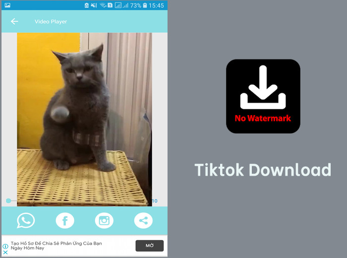 Tải Video TikTok Không Logo với Tiktok Download