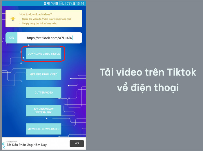 Tải Video TikTok Không Logo với Tiktok Download