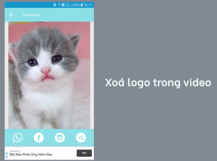 Tải Video TikTok Không Logo với Tiktok Download