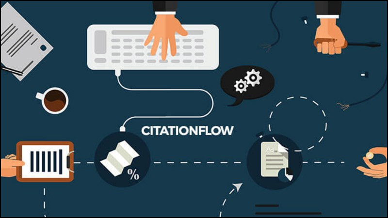 alt: Biểu đồ thể hiện Citation Flow của website