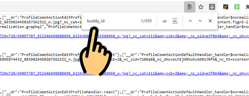 alt: Hướng dẫn tìm kiếm "buddy_id" trong mã nguồn