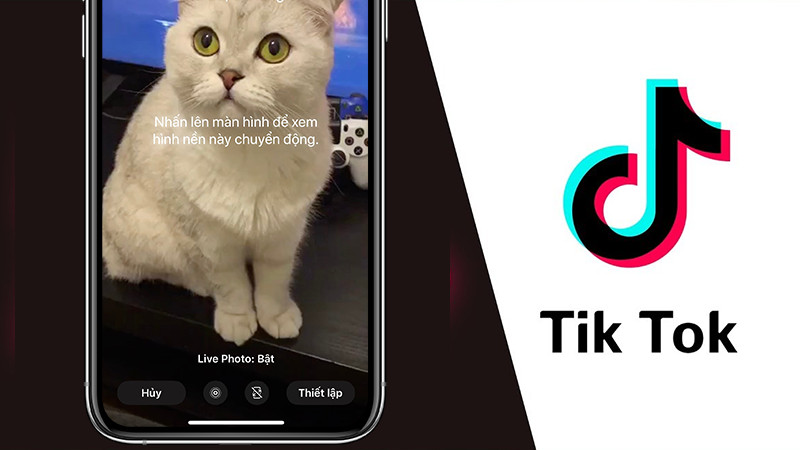 alt text: Giao diện ứng dụng TikTok trên điện thoại