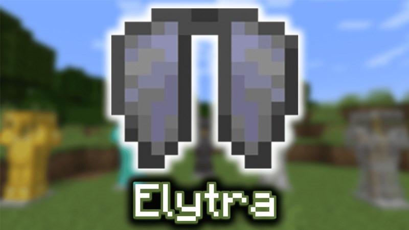 Alt text: Hình ảnh Elytra trong Minecraft