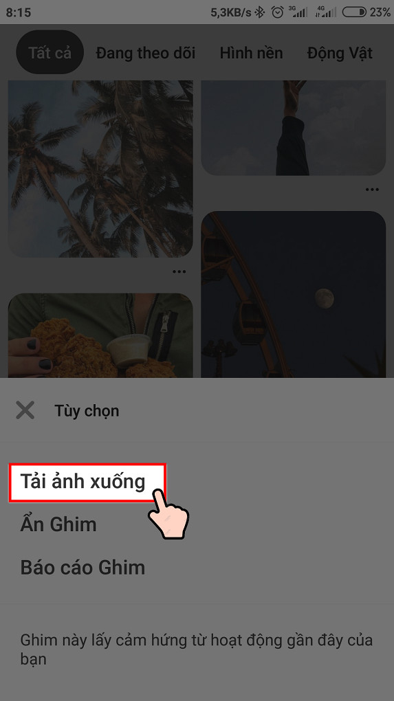 alt text: Menu tùy chọn tải ảnh xuống trên ứng dụng Pinterest