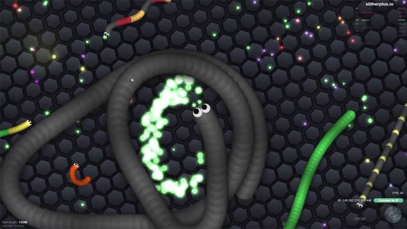 alt text: Rắn lớn bao vây rắn nhỏ trong Slither.io