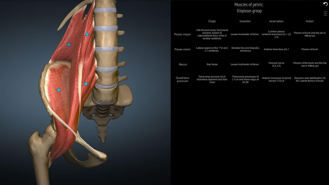 Ảnh chụp màn hình ứng dụng Anatomy Learning