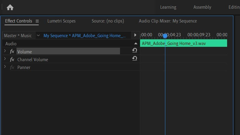 Ảnh màn hình Adobe Premiere