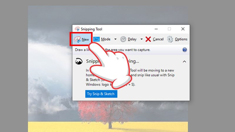 Hướng Dẫn Chi Tiết Cách Chụp Màn Hình Windows 10 Với Snipping Tool