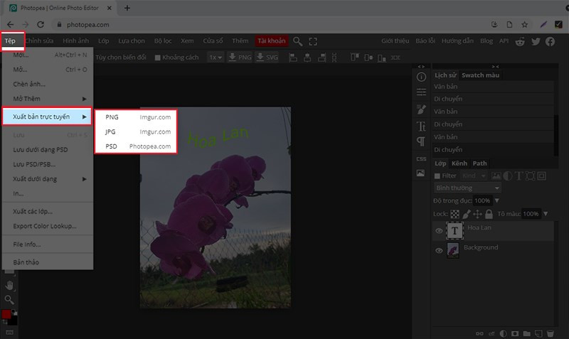 Hướng dẫn chèn chữ vào ảnh online bằng Photopea cực đơn giản