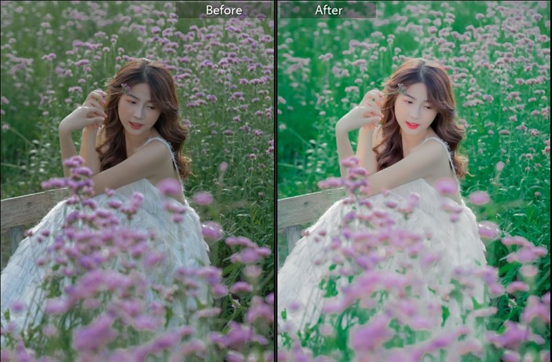 20+ Preset Lightroom Màu Trong Trẻo Cho Ảnh Lung Mịn, Tự Nhiên