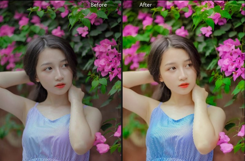 20+ Preset Lightroom Màu Trong Trẻo Cho Ảnh Lung Mịn, Tự Nhiên