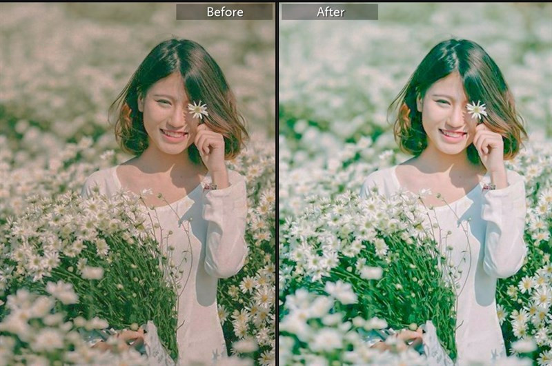 20+ Preset Lightroom Màu Trong Trẻo Cho Ảnh Lung Mịn, Tự Nhiên