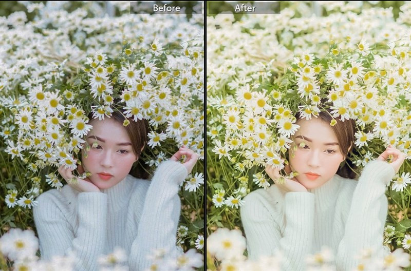 20+ Preset Lightroom Màu Trong Trẻo Cho Ảnh Lung Mịn, Tự Nhiên