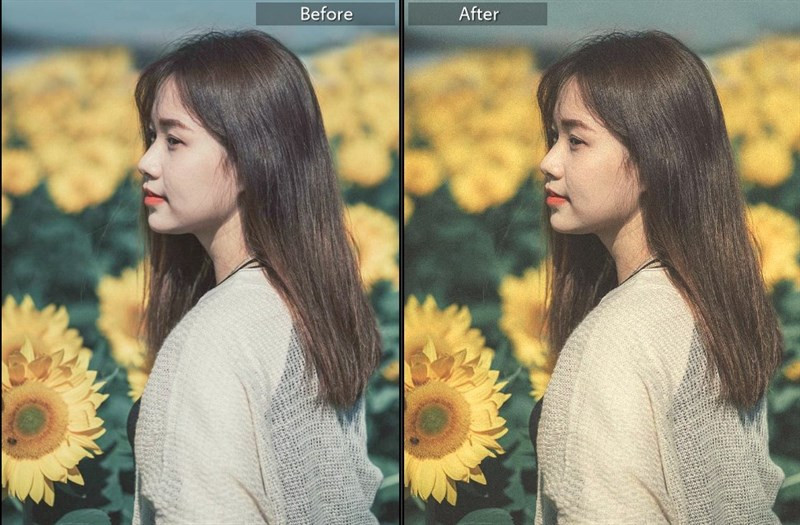 Bộ Preset Lightroom Màu Film Cực Chất Cho Ảnh Đẹp Lung Linh