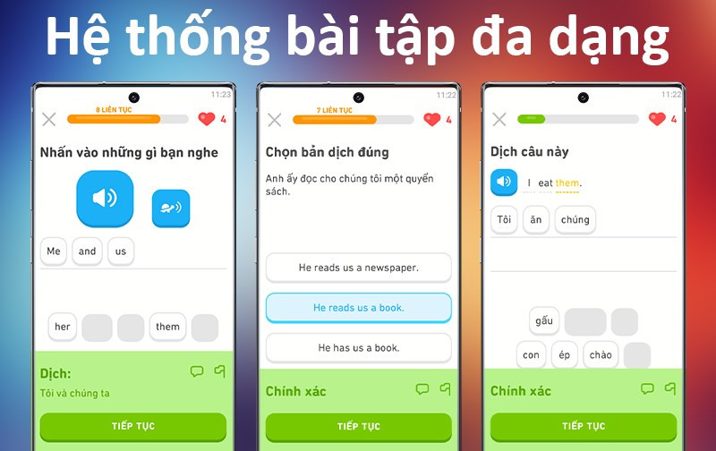 Bài tập đa dạng