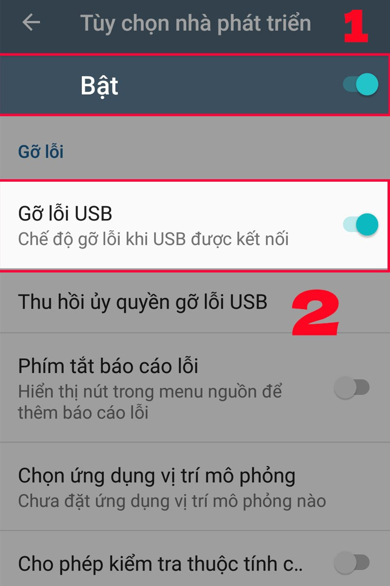 Bật tùy chọn nhà phát triển và gỡ lỗi USB