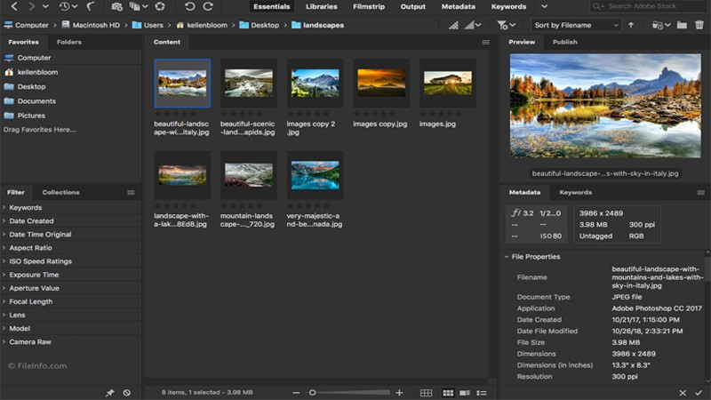 Khám Phá Adobe Bridge: Trợ Thủ Đắc Lực Cho Dân Thiết Kế