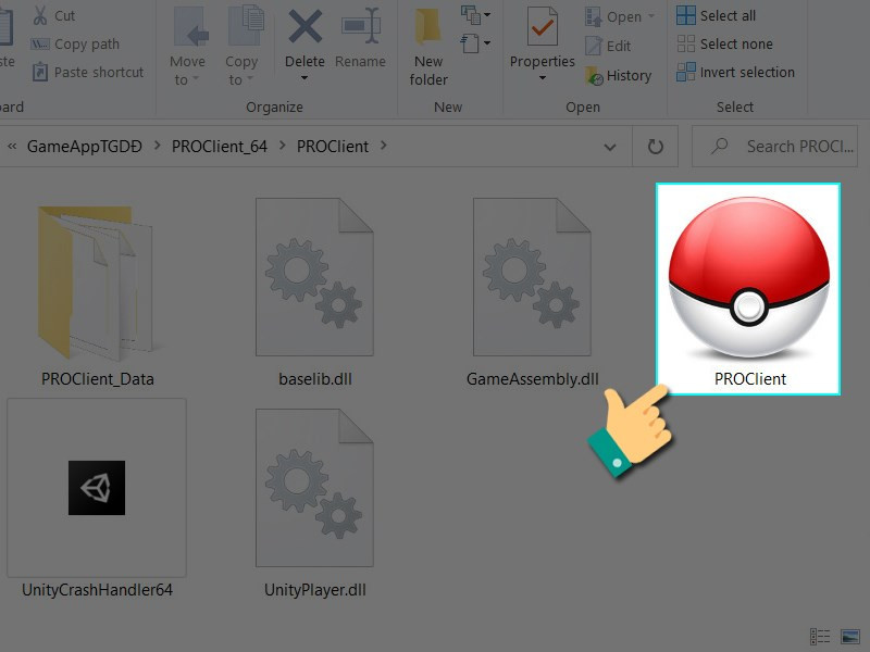 Hướng Dẫn Đăng Ký Và Đăng Nhập Pokemon Revolution Online (PRO) Chi Tiết Nhất