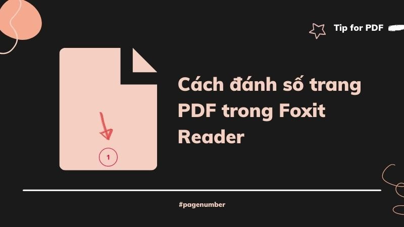 Hướng Dẫn Đánh Số Trang PDF Đơn Giản, Nhanh Chóng