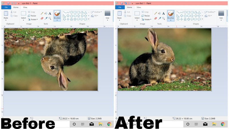 Cách xoay ảnh trong Paint trên máy tính Windows