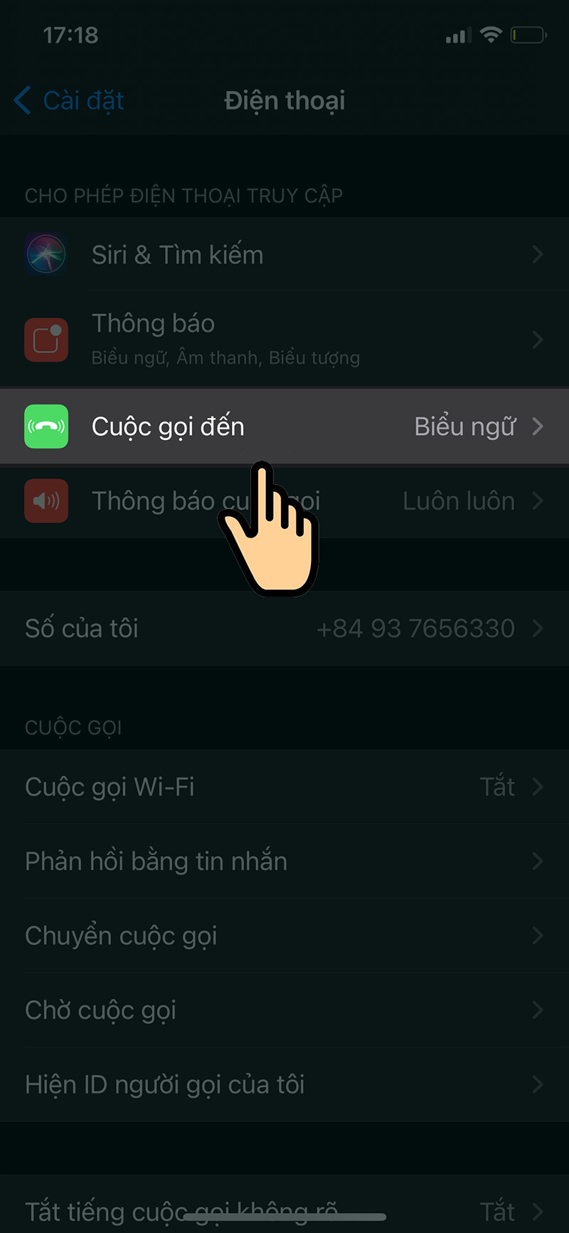 Cài đặt cuộc gọi đến