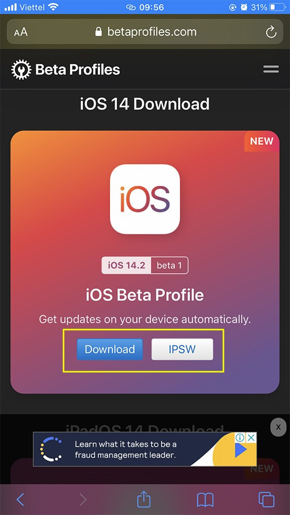 Chọn phiên bản iOS 14 Beta