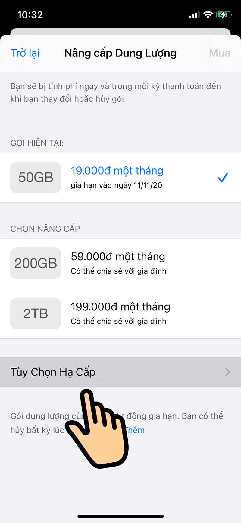 Chọn Tùy chọn Hạ Cấp