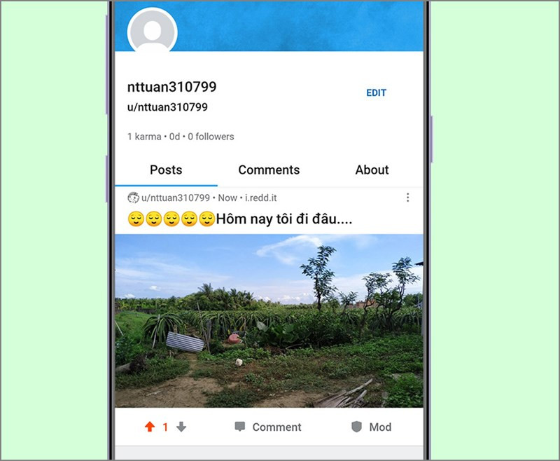 Đăng tải bài viết trên Reddit