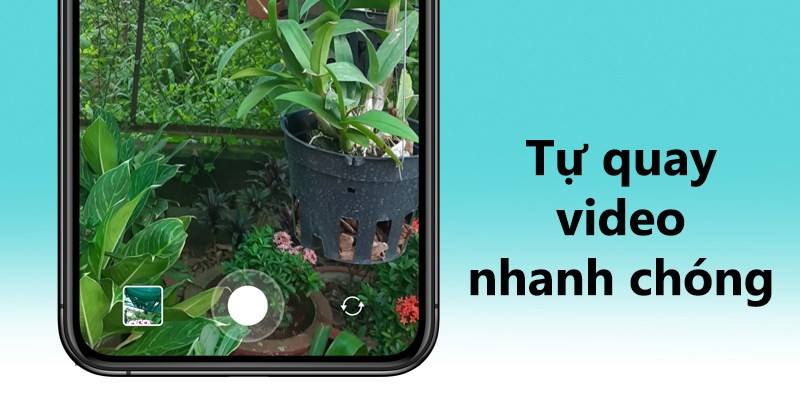 Tạo Video Ngắn Độc Đáo với Boomerang của Instagram