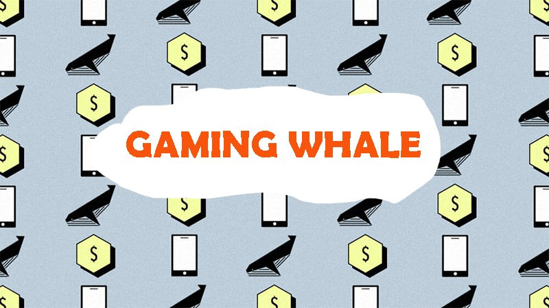 Giải Mã Bí Ẩn Gaming Whale: “Cá Voi” Nặng Ký Định Đoạt Thế Giới Game Mobile