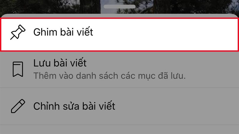 Ghim bài viết trên điện thoại