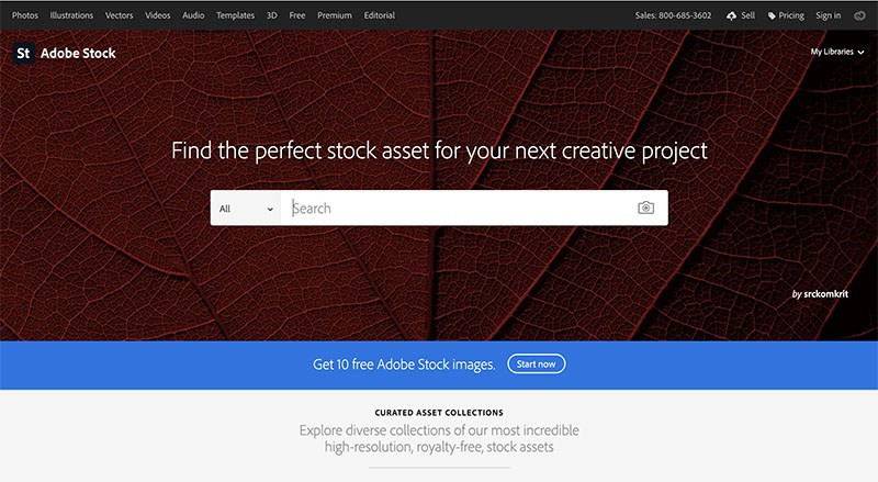 Giao diện tìm kiếm Adobe Stock