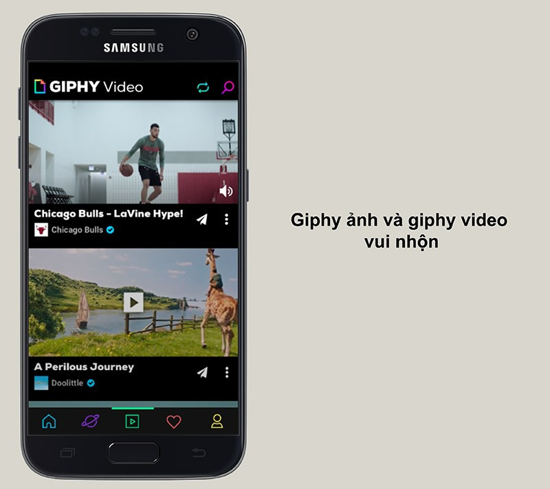 Giphy ảnh v&agrave; giphy video vui nhộn