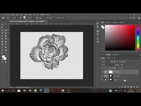 Hướng Dẫn Chuyển Ảnh Sang Vector Trong Photoshop Cực Kỳ Chi Tiết