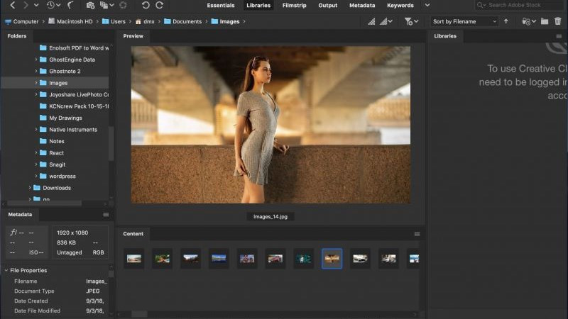 Khám Phá Adobe Bridge: Trợ Thủ Đắc Lực Cho Dân Thiết Kế