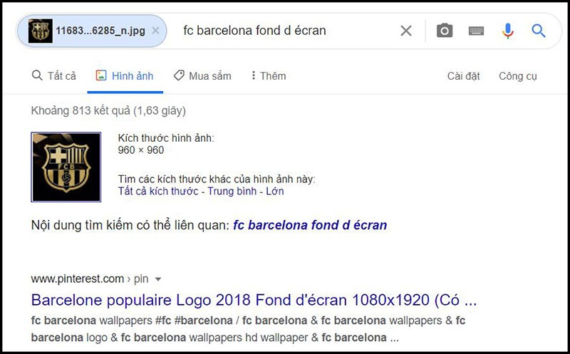 Kết quả tìm kiếm bằng hình ảnh