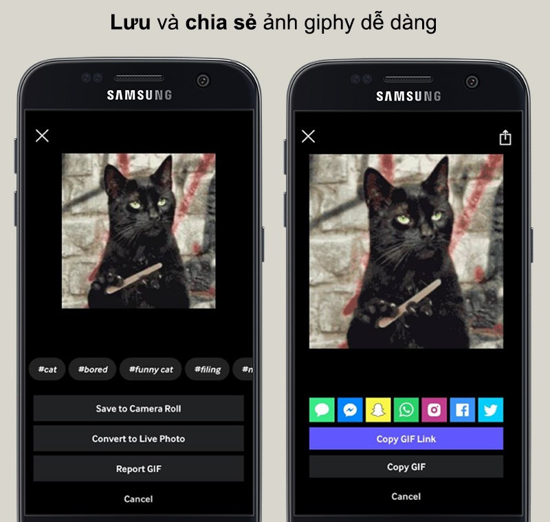 Lưu v&agrave; chia sẻ ảnh giphy dễ d&agrave;ng