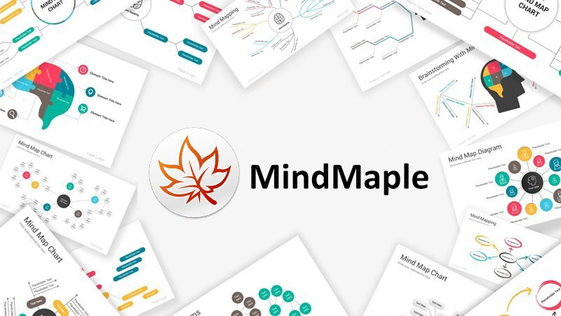 MindMaple Lite trên máy tính