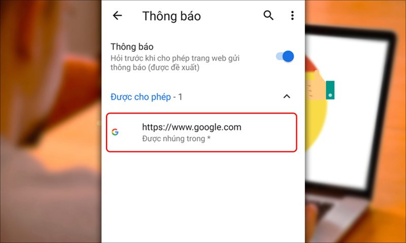 Mô tả hình ảnh: Quản lý thông báo cho từng website