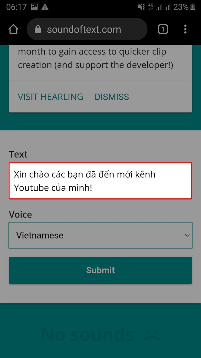 Nhập nội dung văn bản mà bạn muốn chuyển thành giọng nói vào khung Text