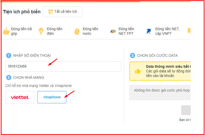 Nhập số điện thoại và chọn nhà mạng Vinaphone
