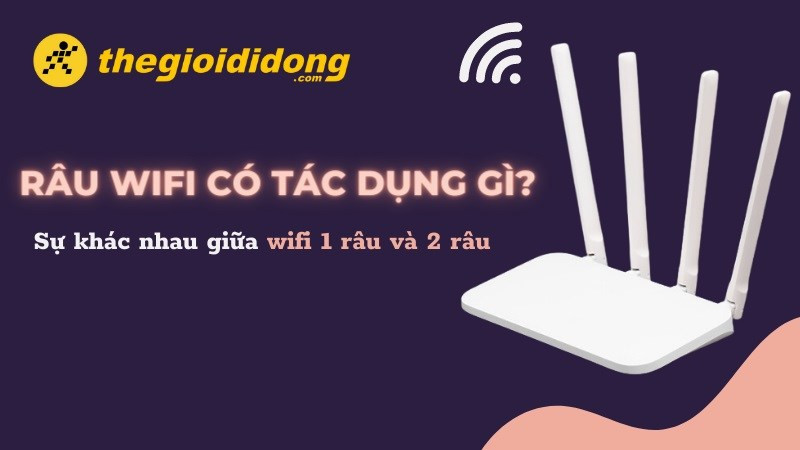 Tìm Hiểu Về Râu Wifi: Tác Dụng Và Sự Khác Biệt Giữa Wifi 1 & 2 Râu