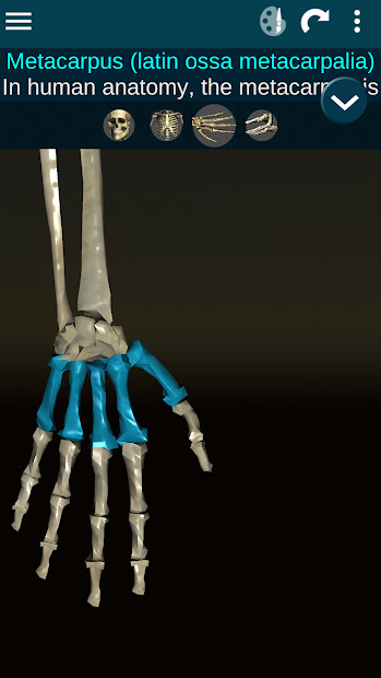 Screenshots Osseous System in 3D (Anatomy): Giải phẫu xương người 3D