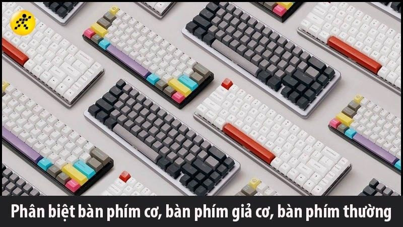 So sánh bàn phím cơ, giả cơ và thường