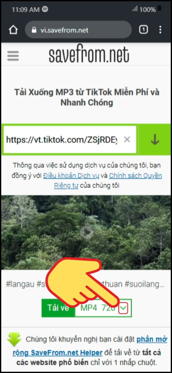 Tải nhạc trên savefrom.net