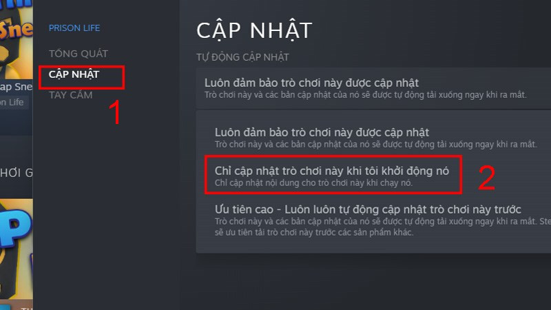 Thay đổi thành "Chỉ cập nhật trò chơi này khi tôi khởi động nó"