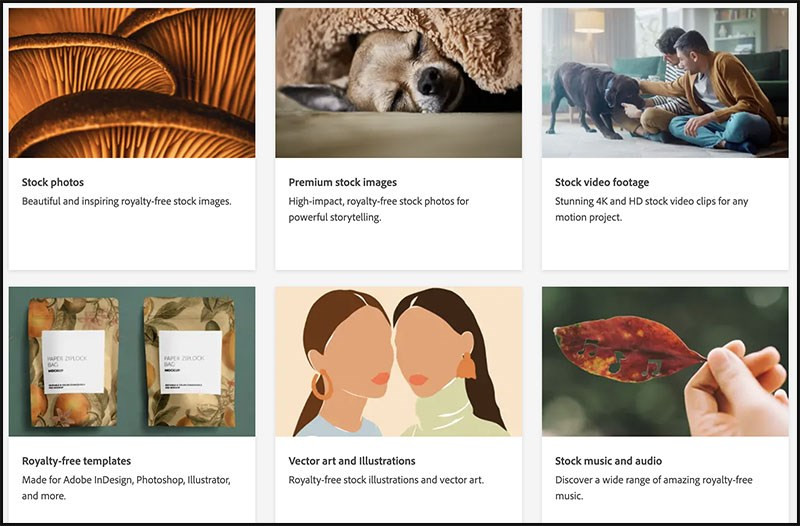 Thư viện ảnh đa dạng trên Adobe Stock