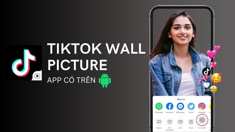 TikTok Wall Picture - Tải video TikTok làm hình nền