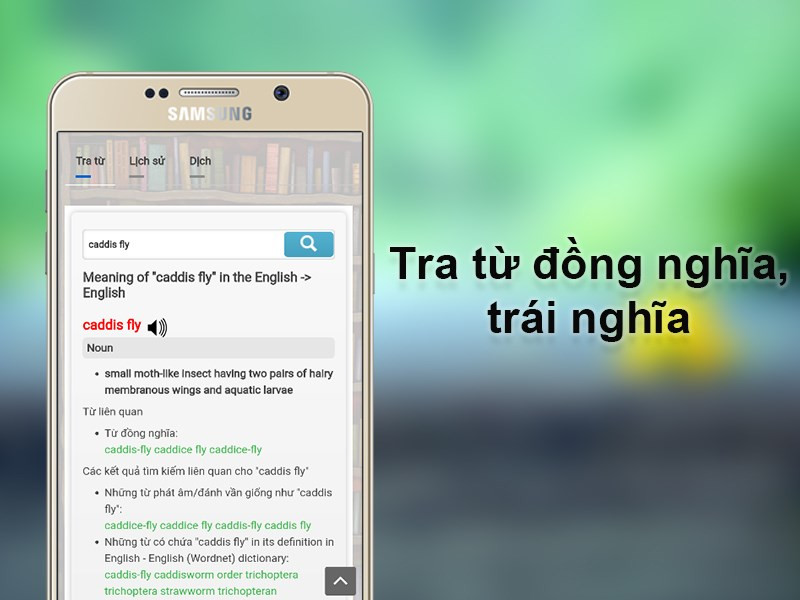 Tra cứu từ đồng nghĩa, trái nghĩa